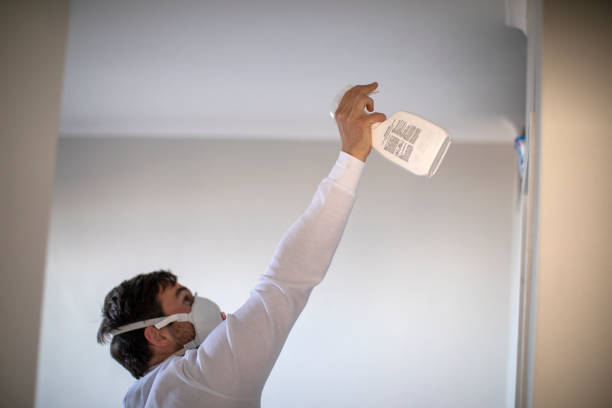 Best Home Mold Removal  in Aviston, IL