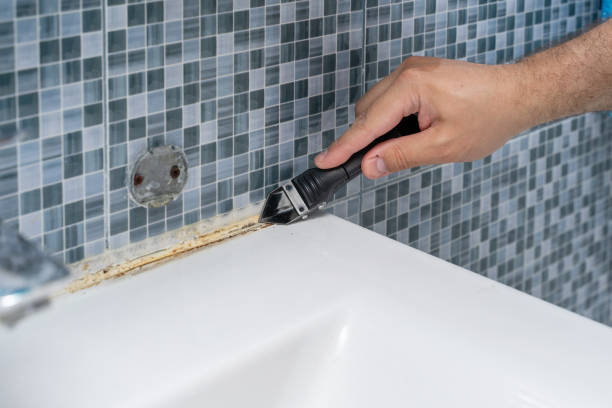 Certified Mold Removal in Aviston, IL
